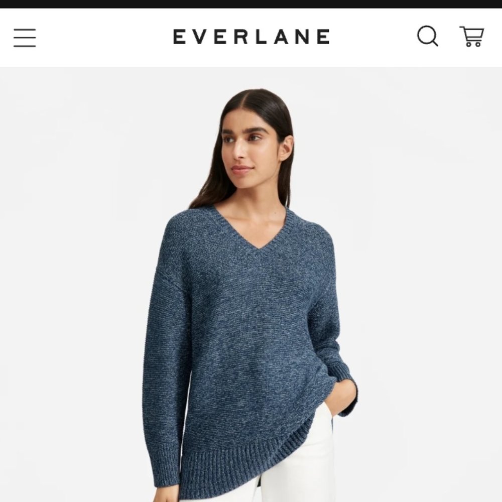 Everlane Link - Stitch V-Neck Sweater